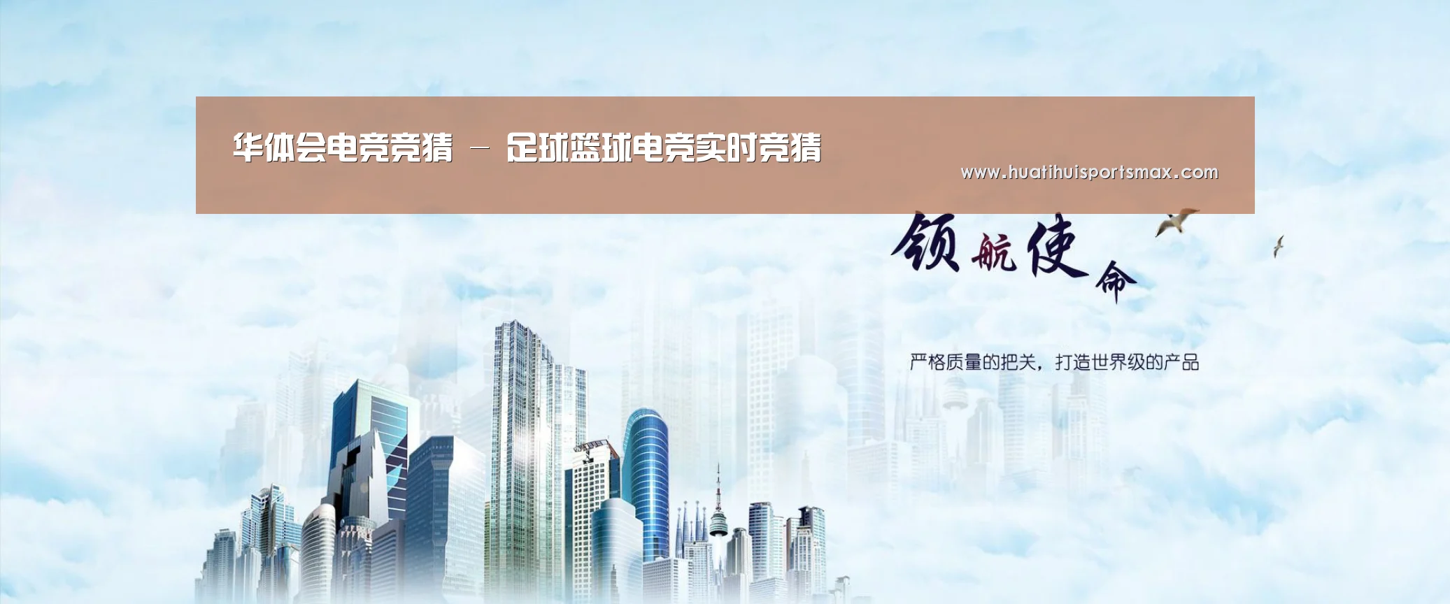 华体会平台公司