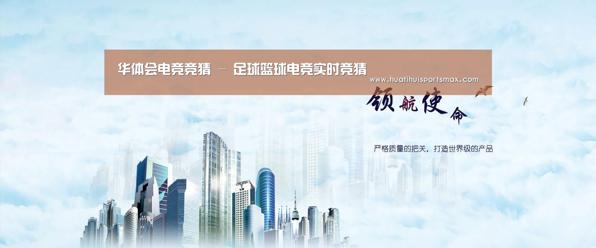 华体会平台公司