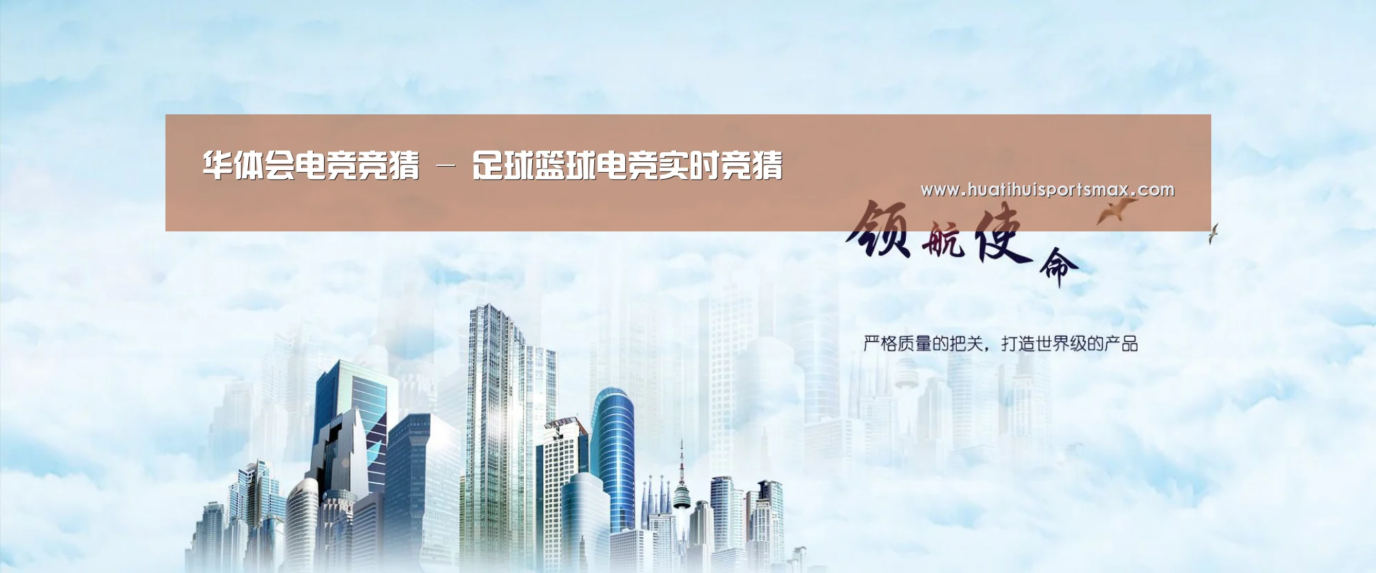 华体会平台公司