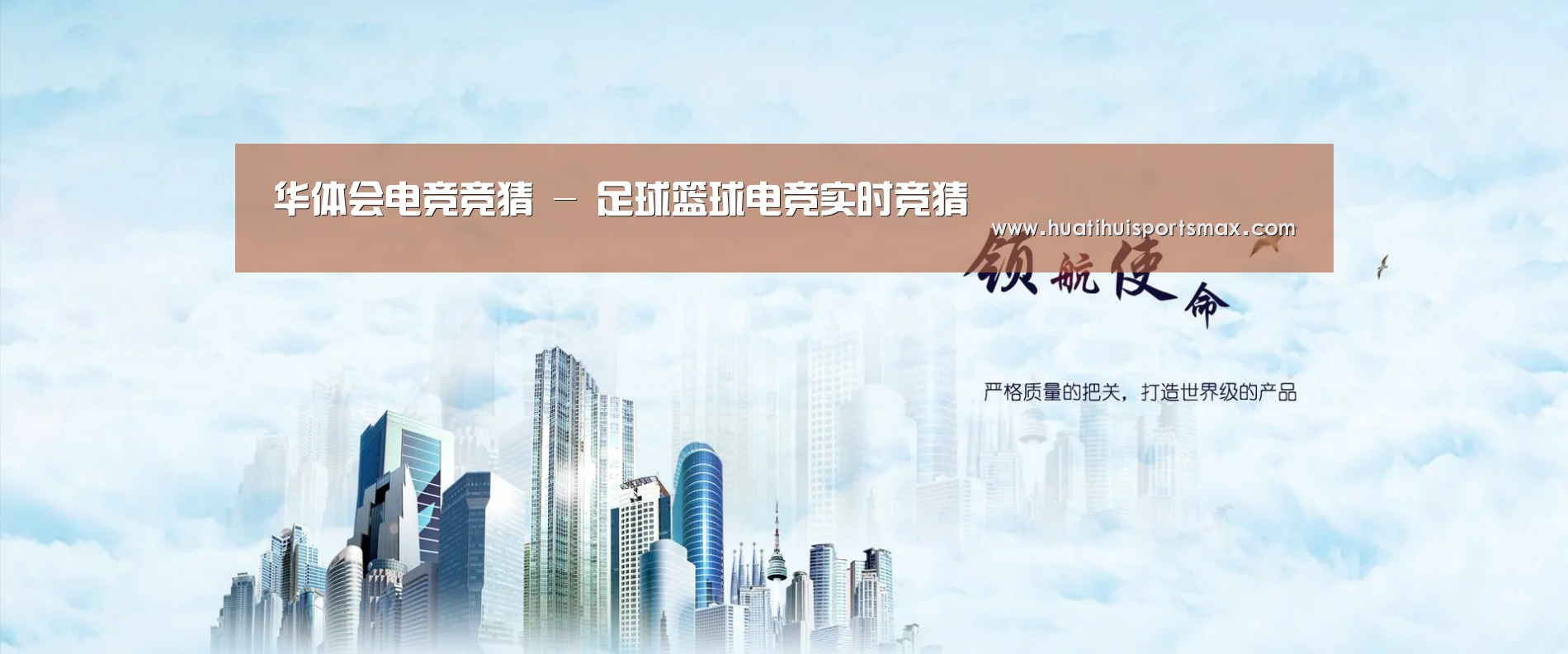 华体会平台公司