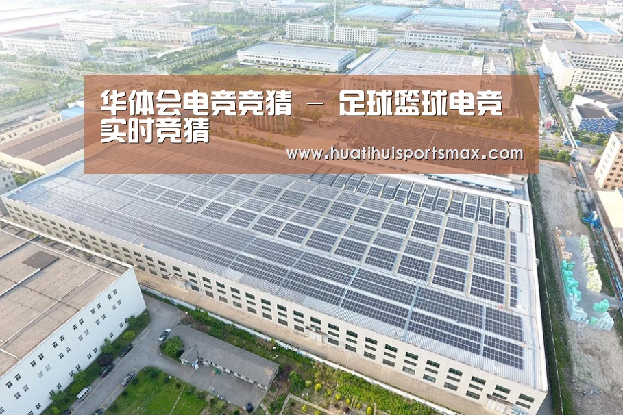 案例展示一