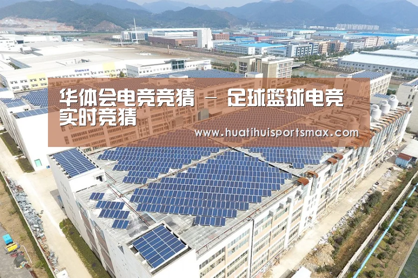 案例展示一