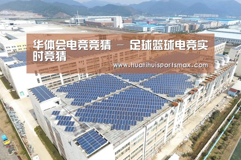 案例展示三