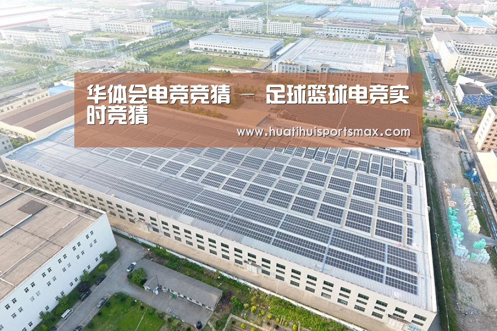 案例展示二