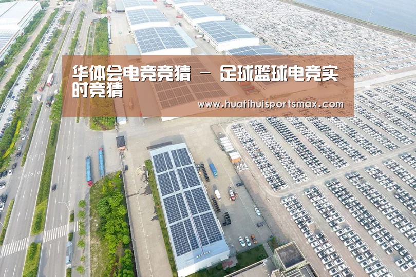 案例展示一