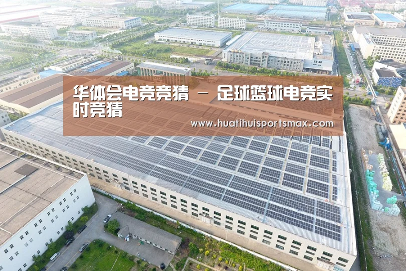 案例展示三