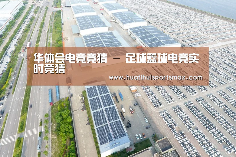 案例展示四