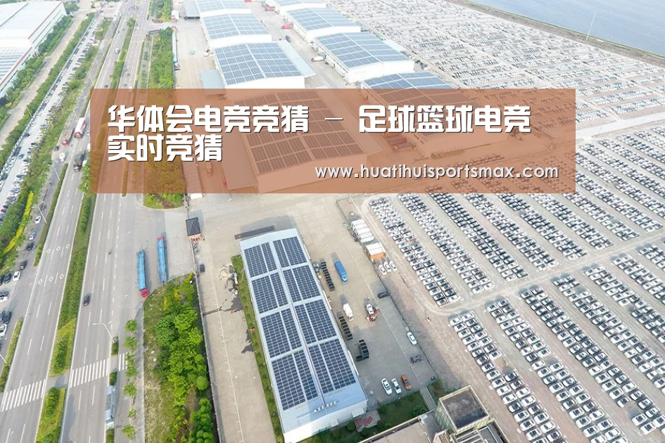 案例展示三