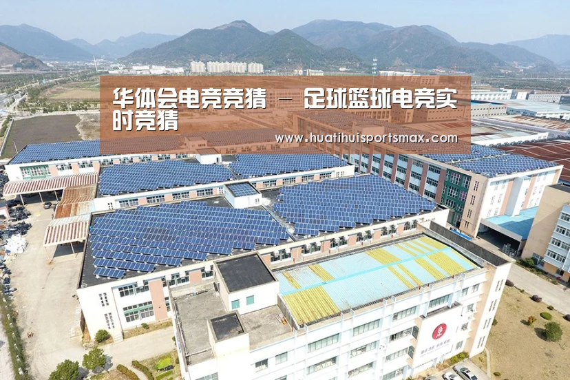 案例展示三