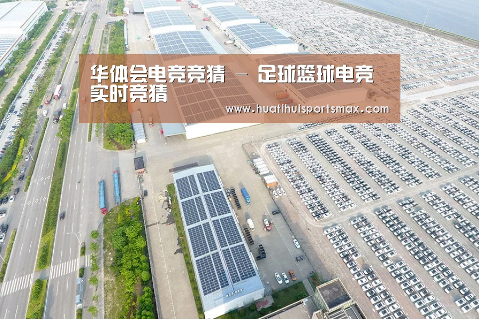 案例展示二