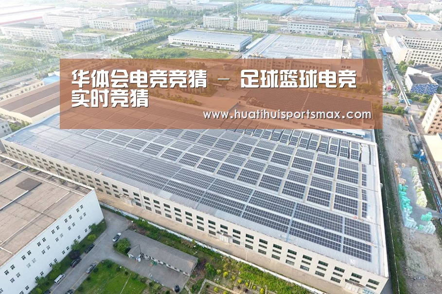 案例展示四