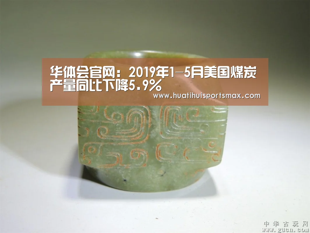 华体会官网:2019年1-5月美国煤炭产量同比下降5.9%(图2) 华体会赛事