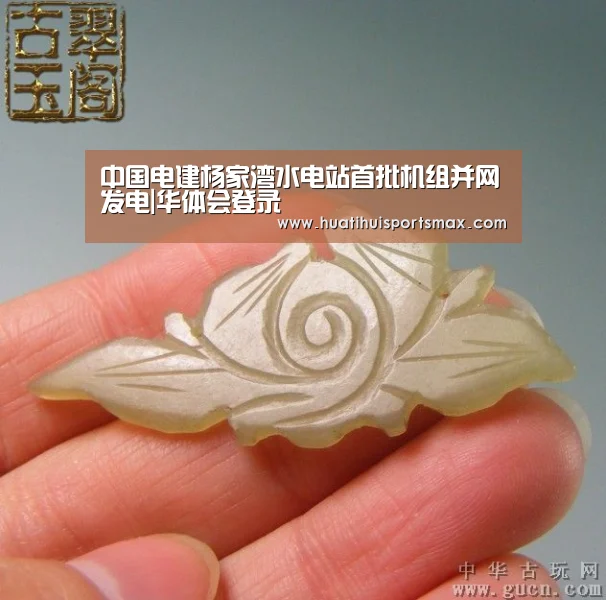 华体会平台