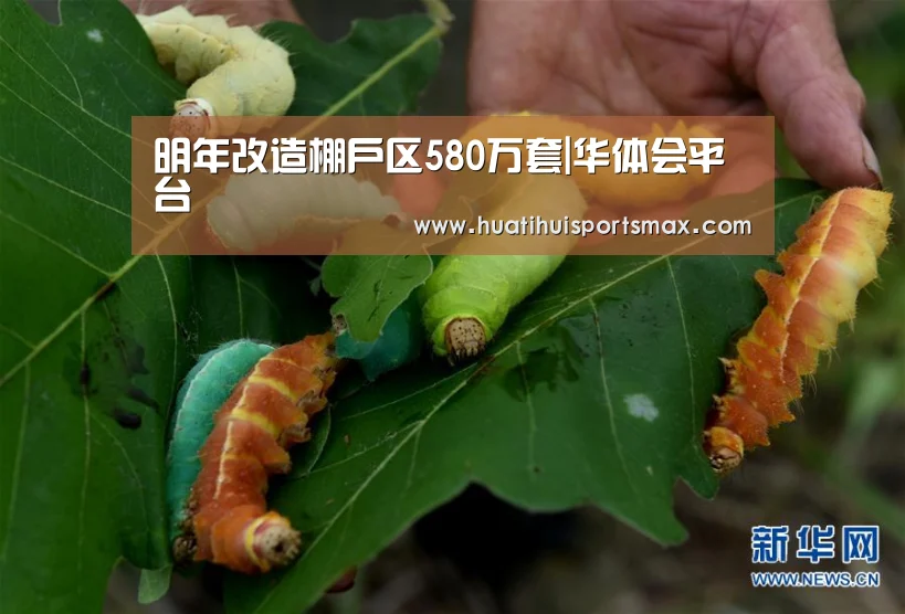华体会登录