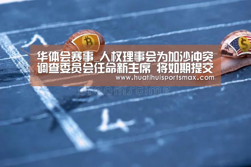 华体会赛事_人权理事会为加沙冲突调查委员会任命新主席 将如期提交报告(图1) 华体会官网