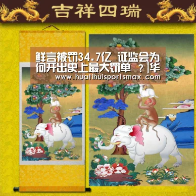 鲜言被罚34.7亿 证监会为何开出史上最大罚单 ?|华体会登录(图4) 华体会平台