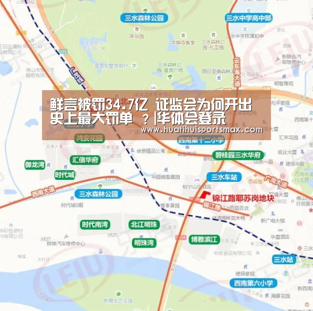 鲜言被罚34.7亿 证监会为何开出史上最大罚单 ?|华体会登录(图1) 华体会平台