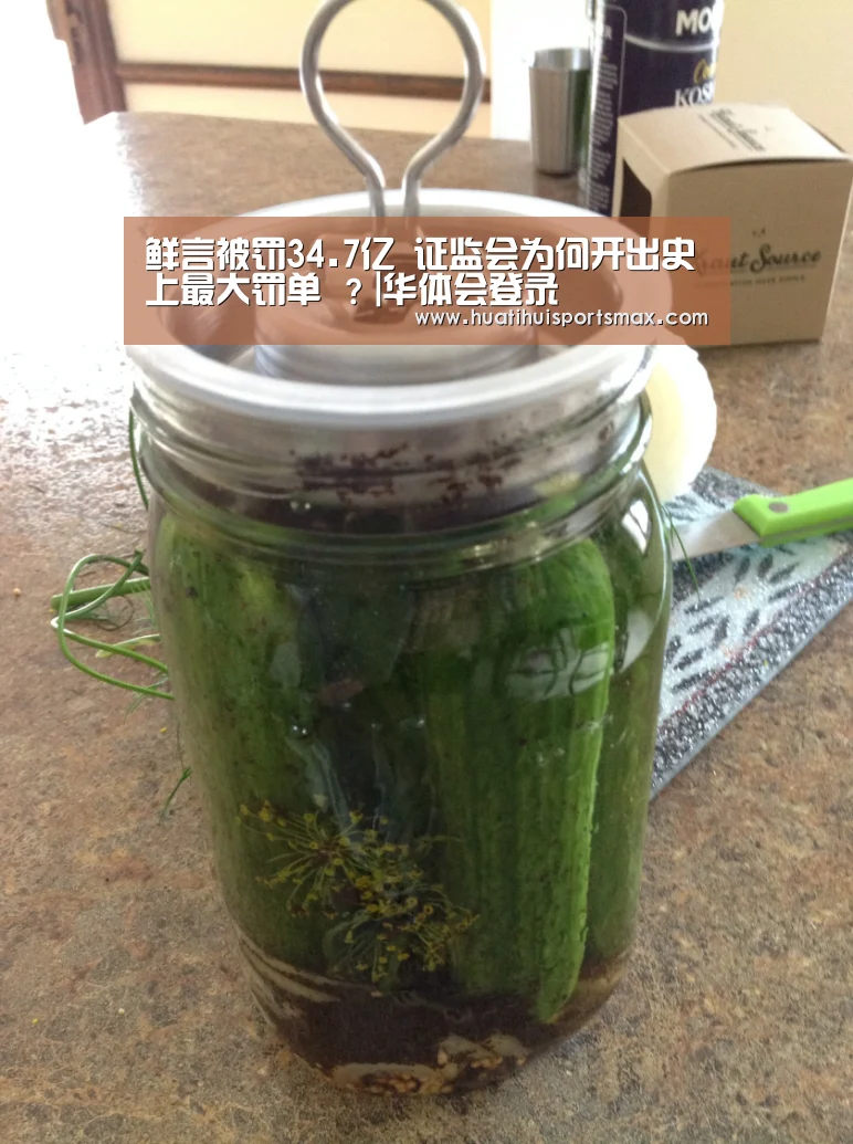 鲜言被罚34.7亿 证监会为何开出史上最大罚单 ?|华体会登录(图3) 华体会平台