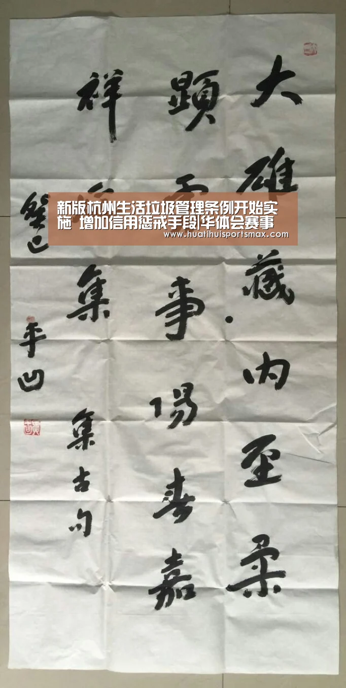 新版杭州生活垃圾管理条例开始实施 增加信用惩戒手段|华体会赛事(图2) 华体会平台